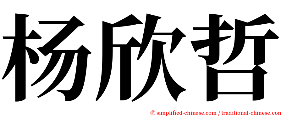 杨欣哲 serif font