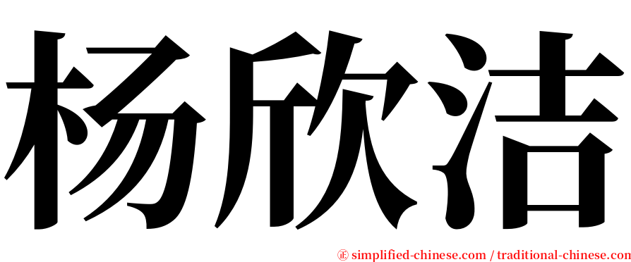 杨欣洁 serif font