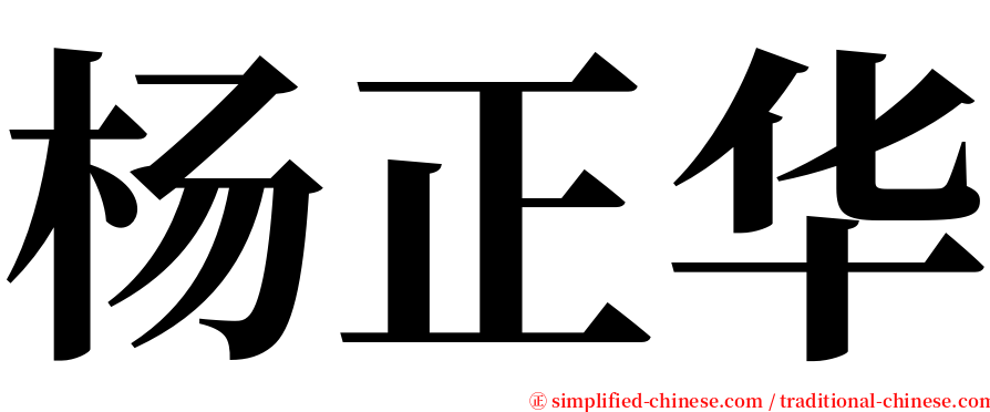 杨正华 serif font