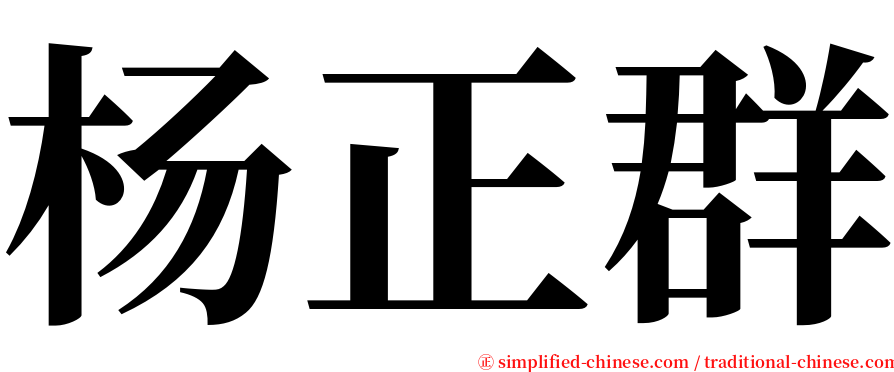 杨正群 serif font