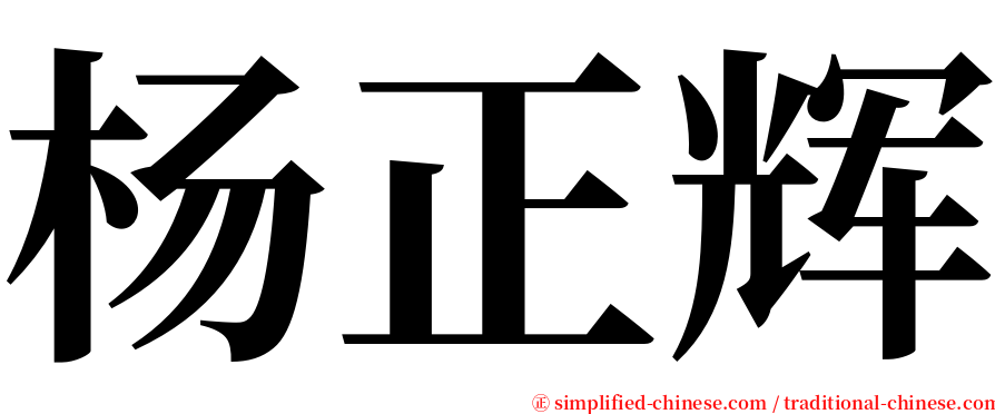 杨正辉 serif font