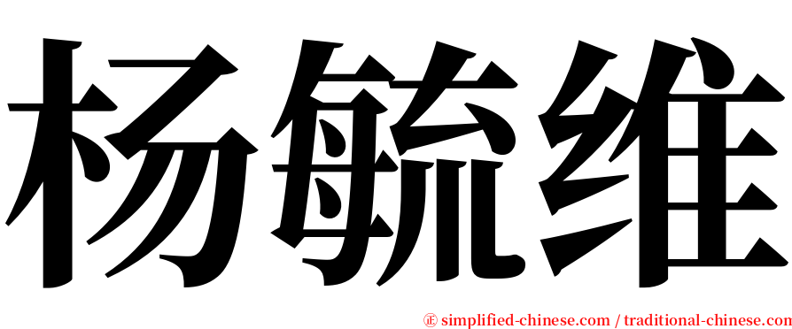 杨毓维 serif font