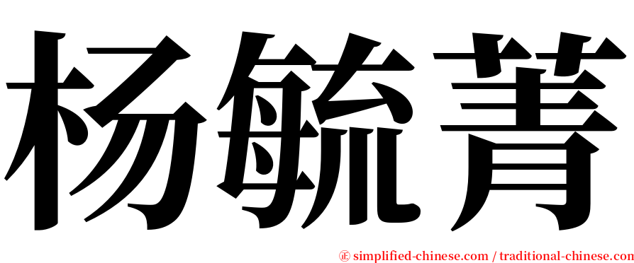 杨毓菁 serif font
