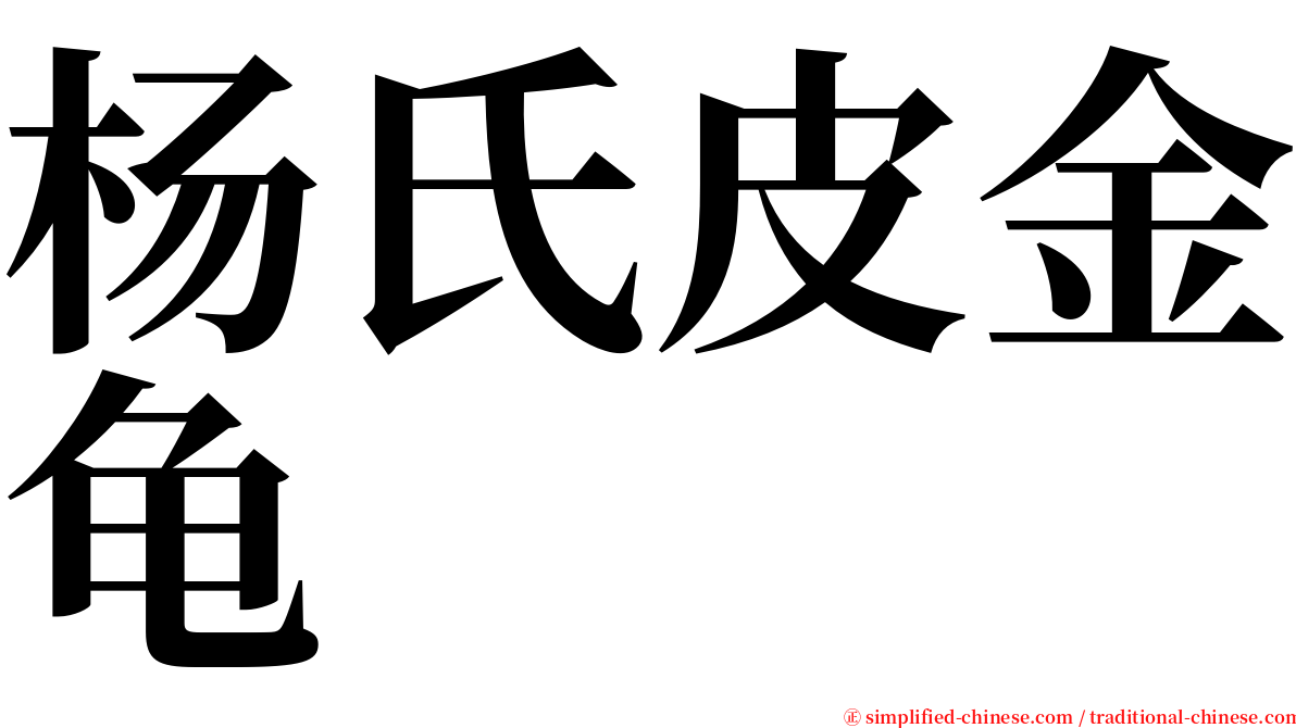 杨氏皮金龟 serif font