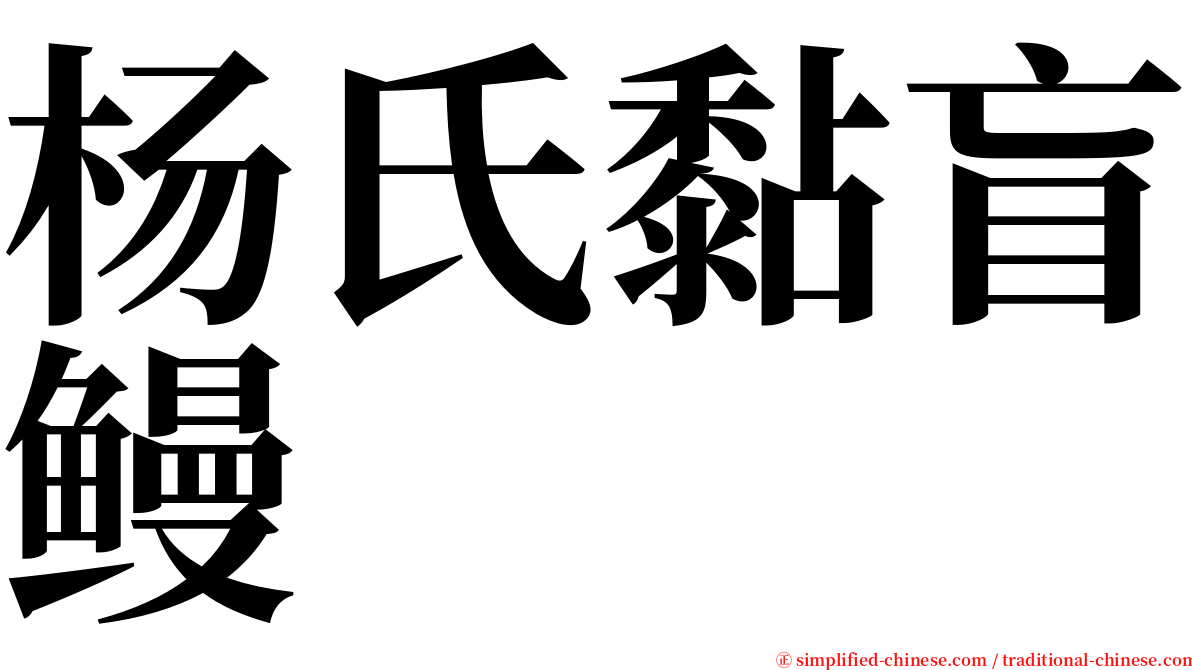 杨氏黏盲鳗 serif font