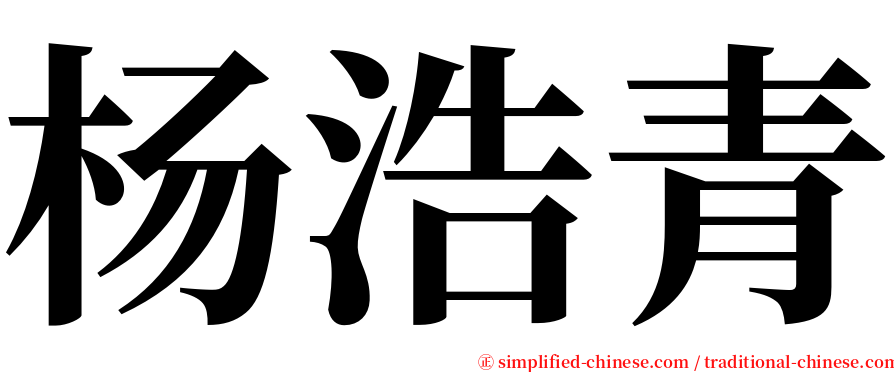 杨浩青 serif font