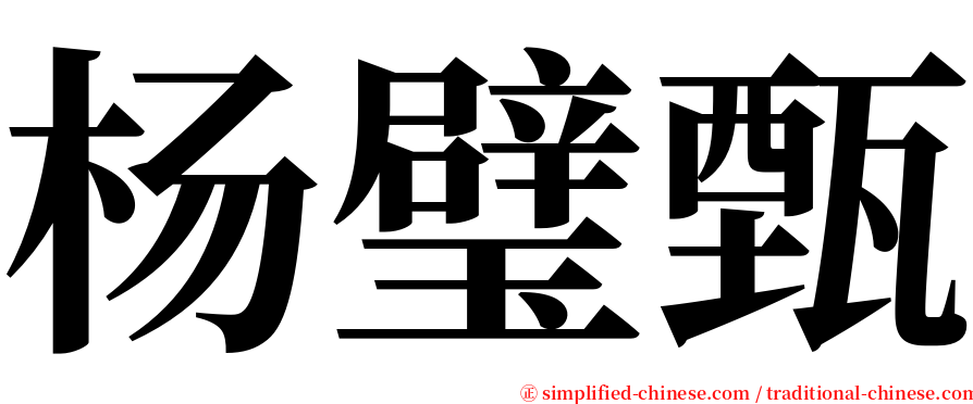 杨璧甄 serif font