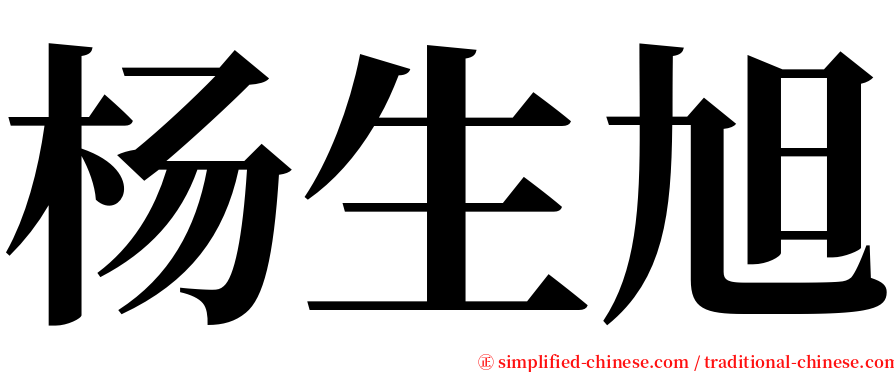 杨生旭 serif font
