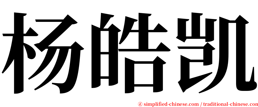 杨皓凯 serif font