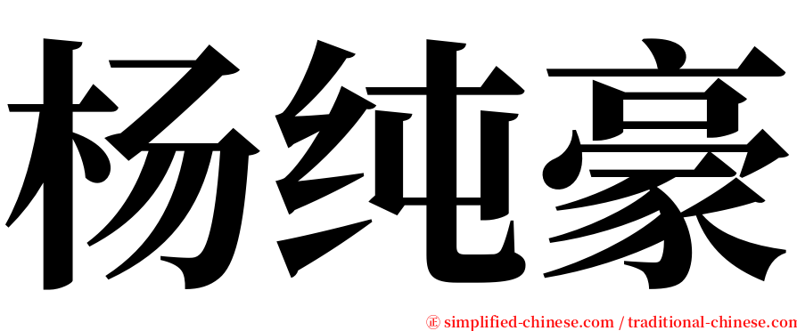 杨纯豪 serif font