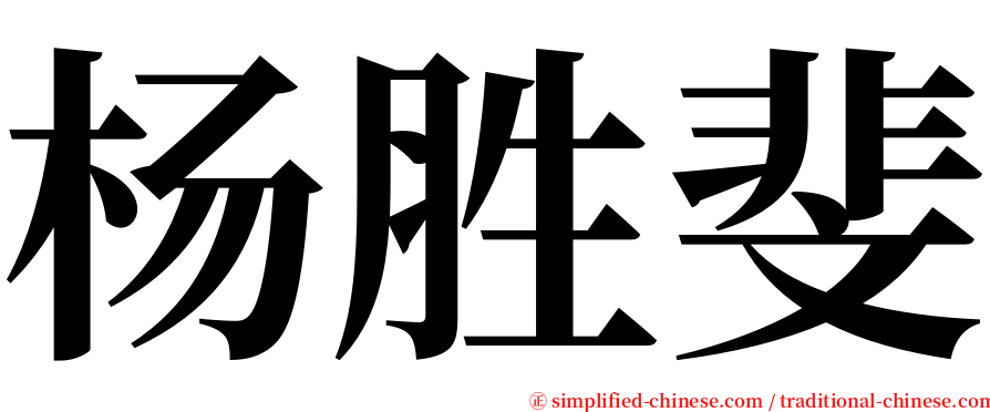 杨胜斐 serif font