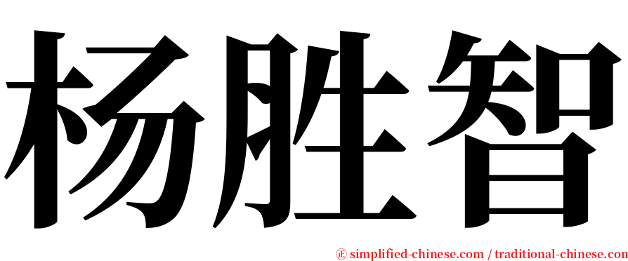 杨胜智 serif font