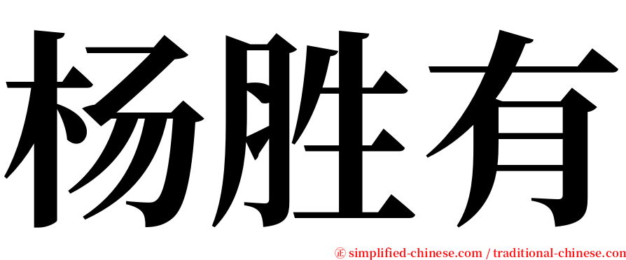杨胜有 serif font