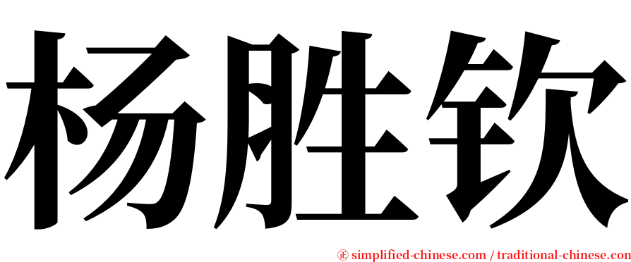 杨胜钦 serif font