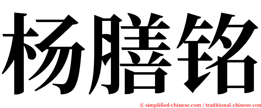 杨膳铭 serif font