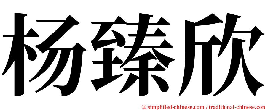 杨臻欣 serif font