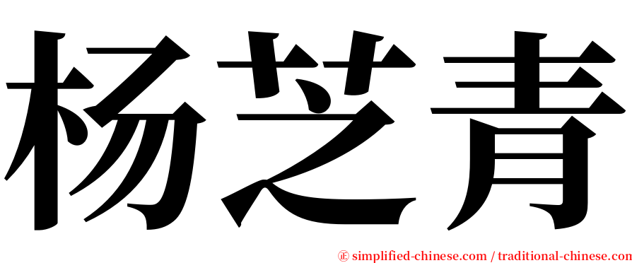 杨芝青 serif font