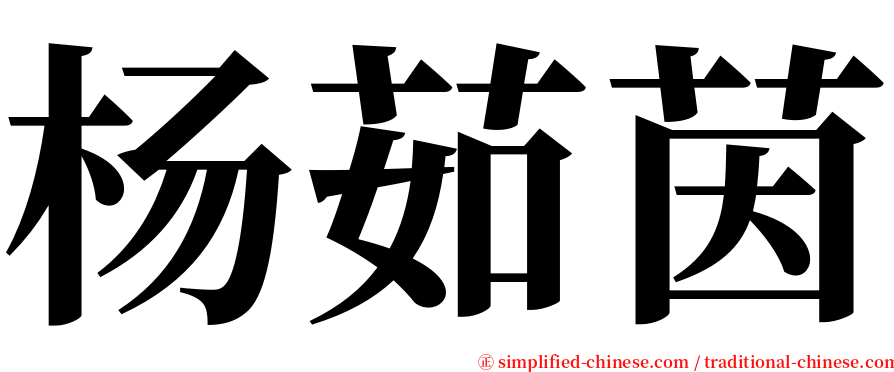 杨茹茵 serif font
