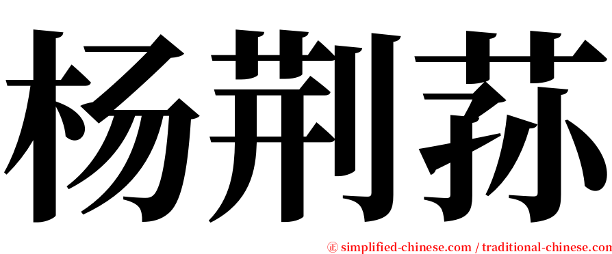 杨荆荪 serif font