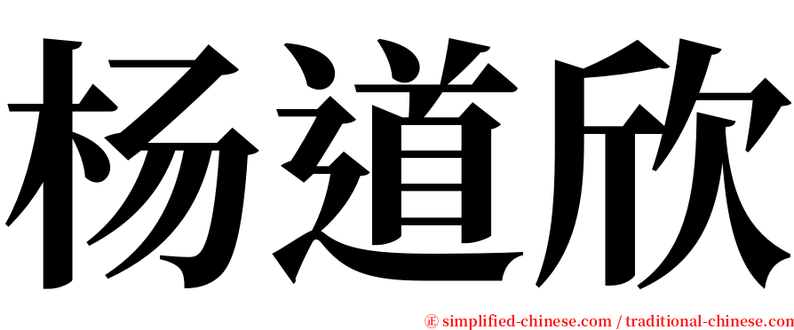 杨道欣 serif font