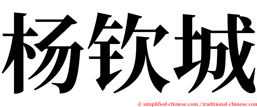 杨钦城 serif font