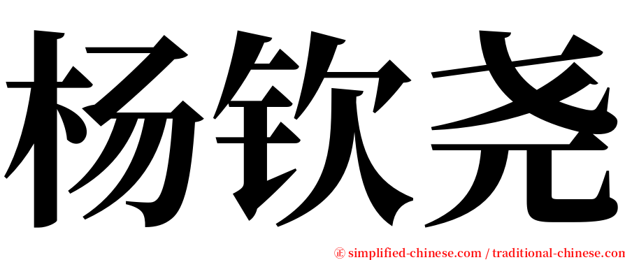 杨钦尧 serif font