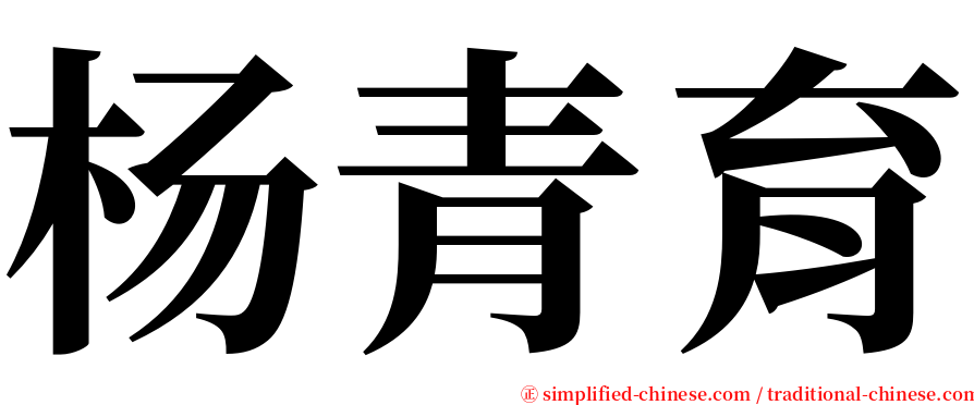 杨青育 serif font