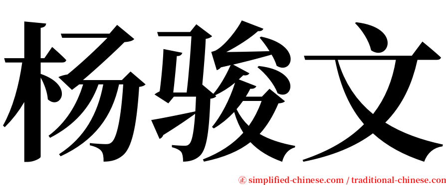 杨骏文 serif font