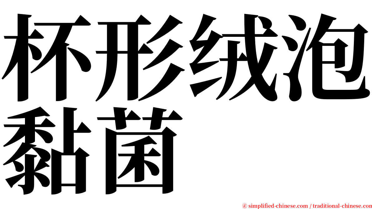 杯形绒泡黏菌 serif font