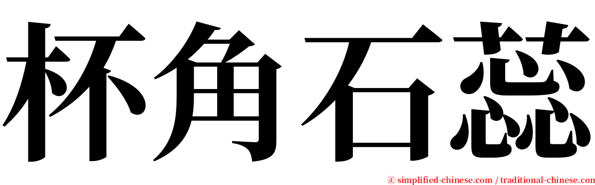 杯角石蕊 serif font