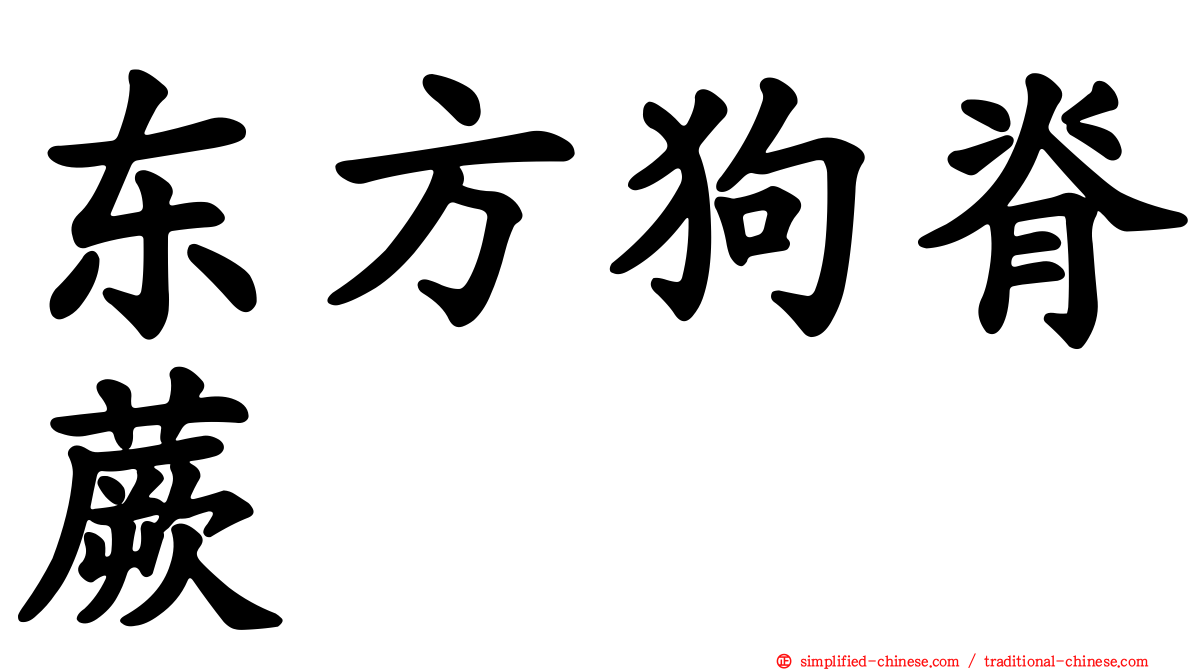 东方狗脊蕨