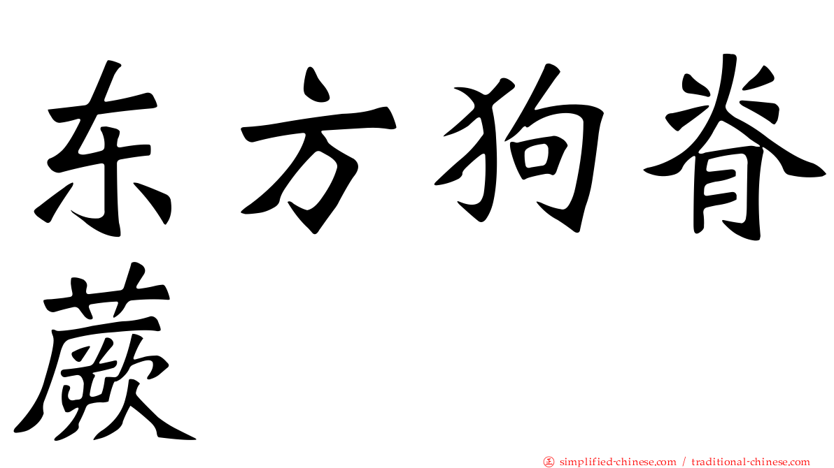 东方狗脊蕨