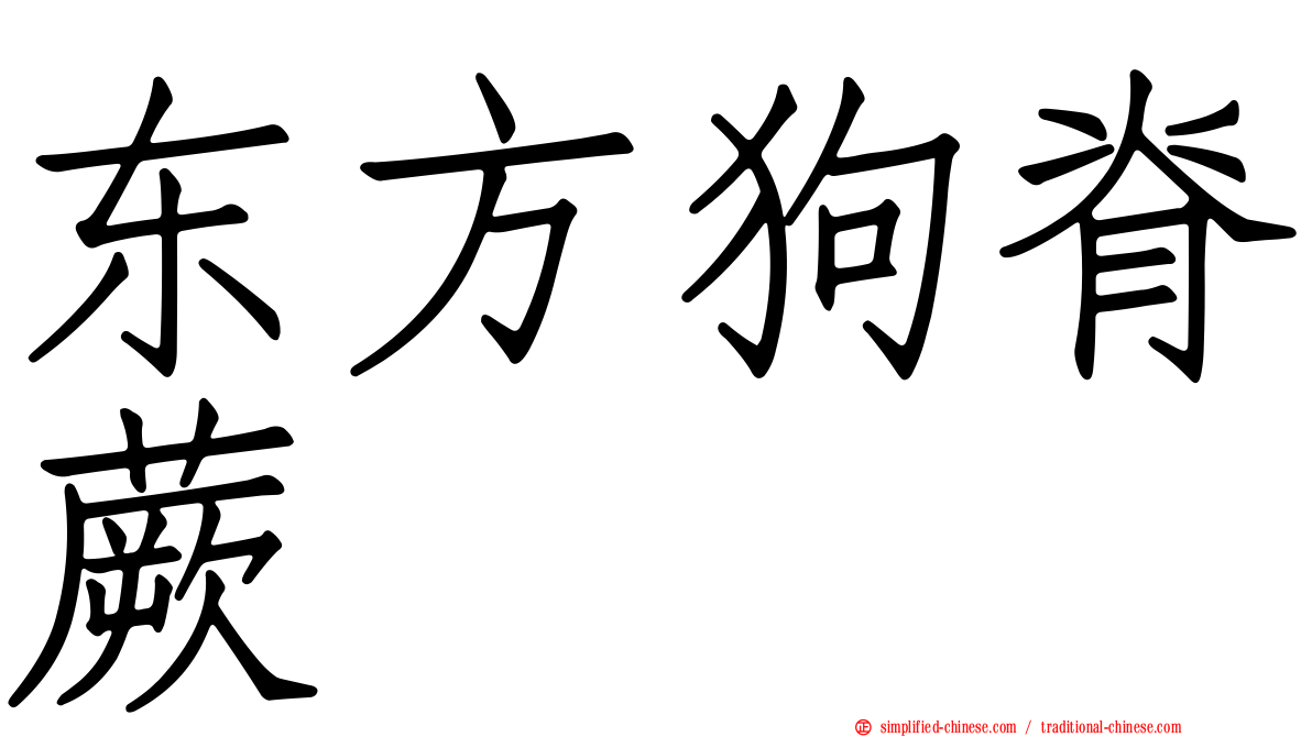 东方狗脊蕨