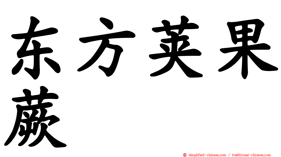 东方荚果蕨