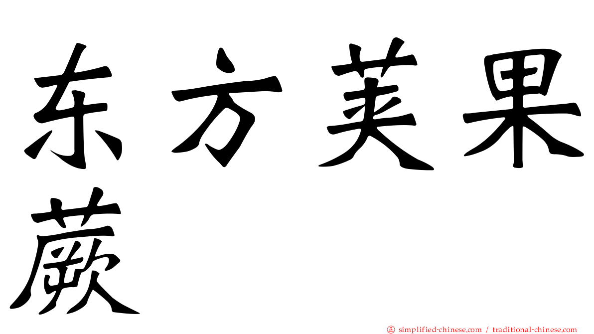 东方荚果蕨