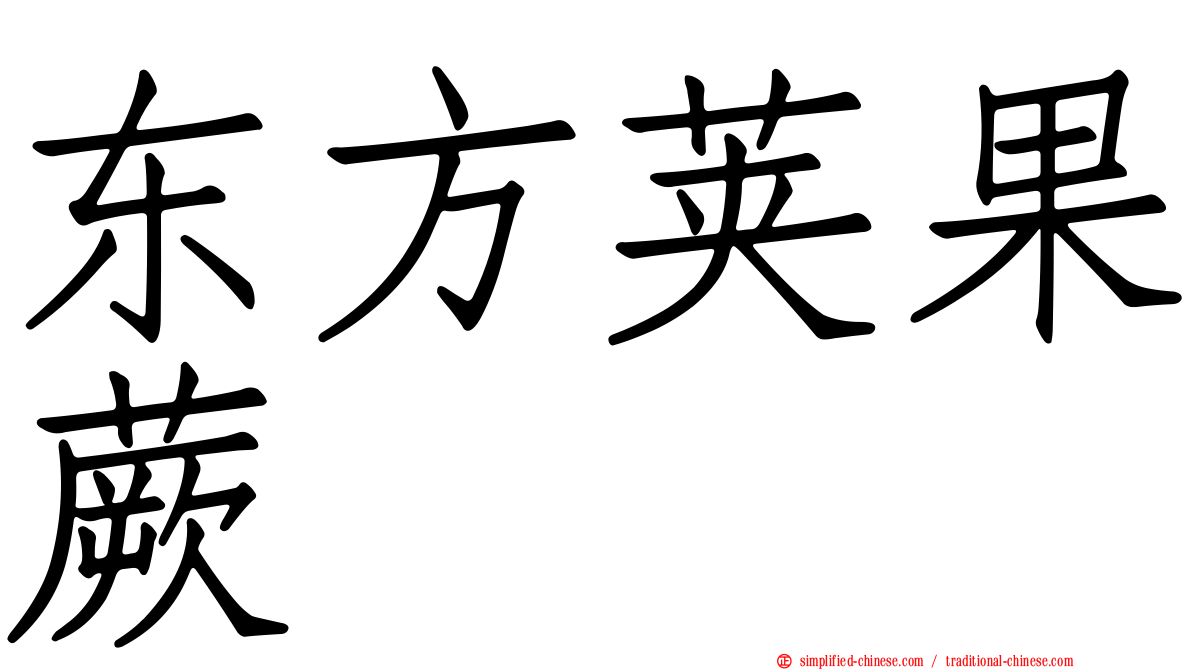 东方荚果蕨