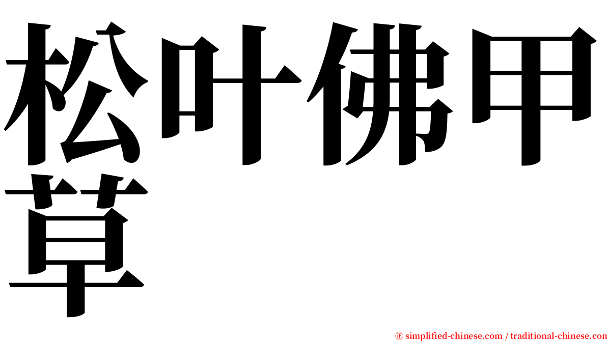 松叶佛甲草 serif font