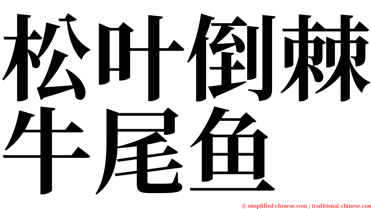 松叶倒棘牛尾鱼 serif font