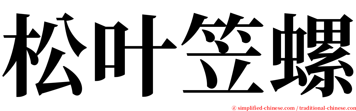 松叶笠螺 serif font