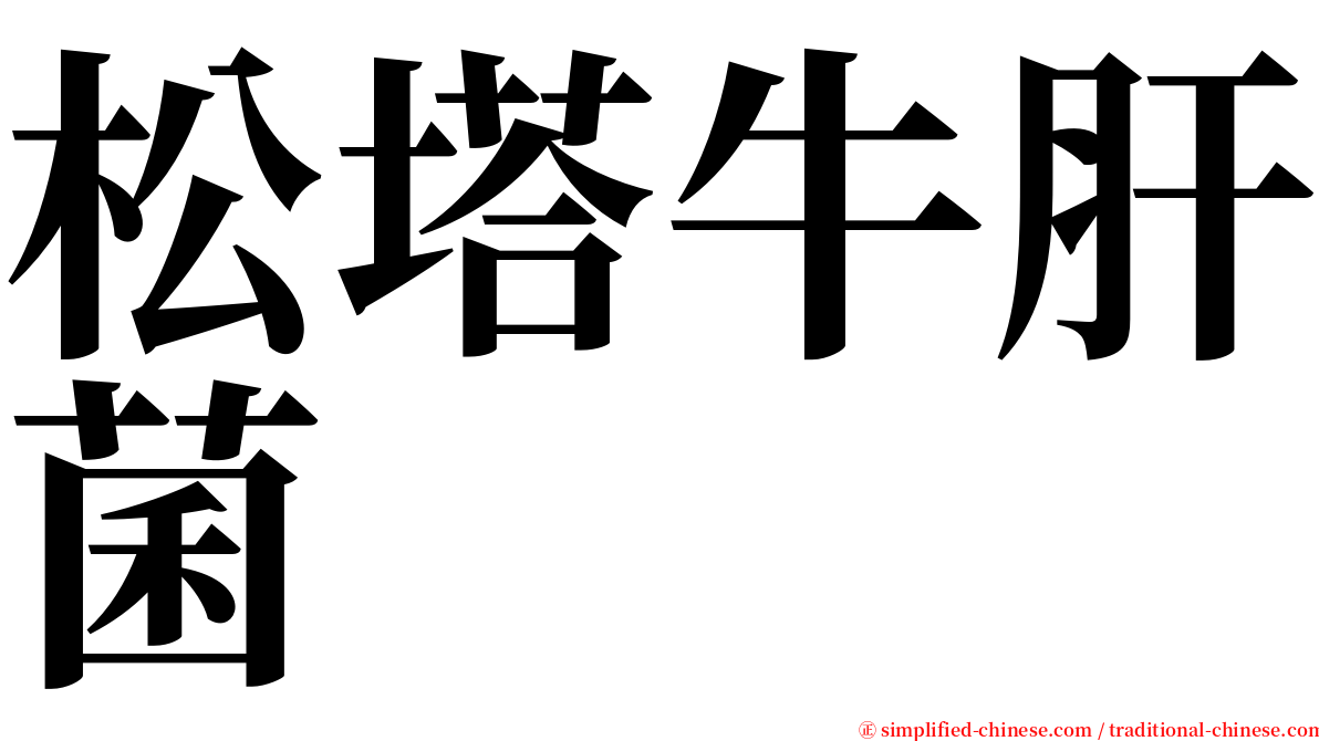 松塔牛肝菌 serif font