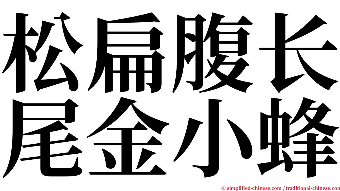 松扁腹长尾金小蜂 serif font