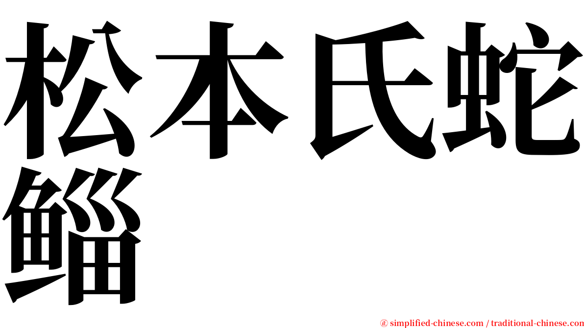 松本氏蛇鲻 serif font