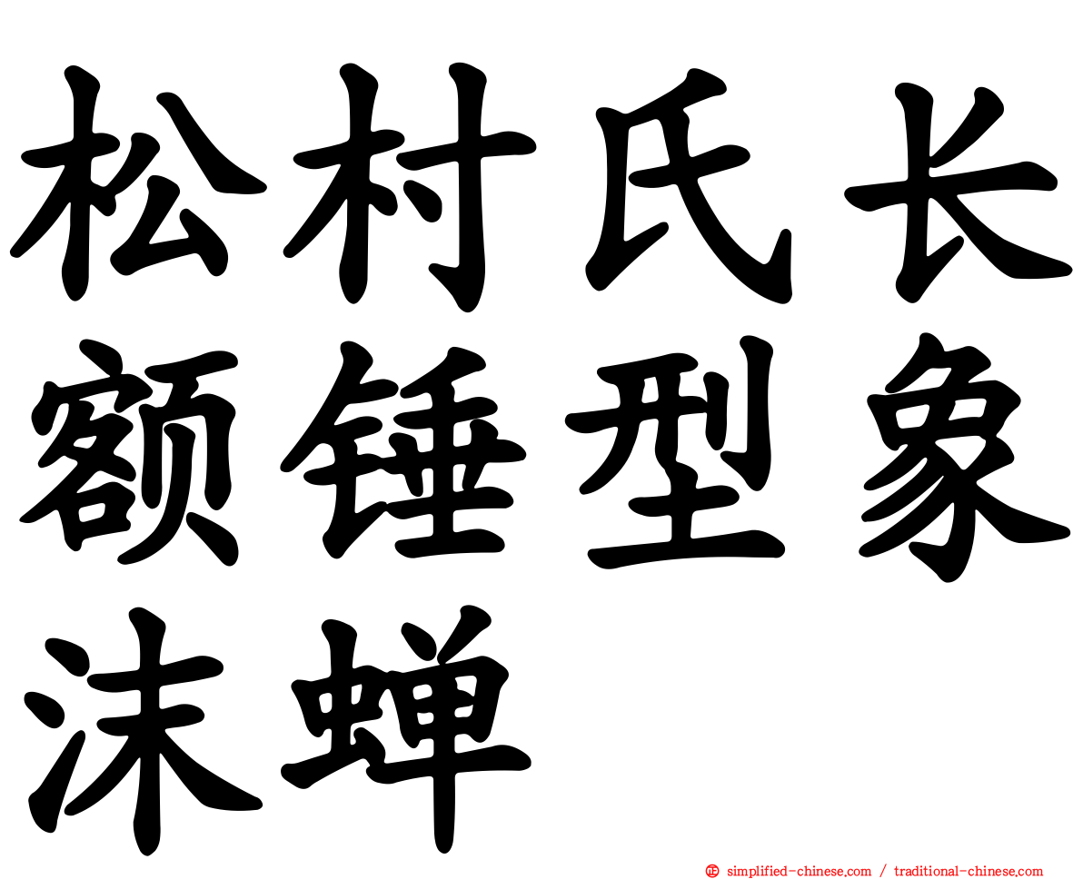 松村氏长额锤型象沫蝉