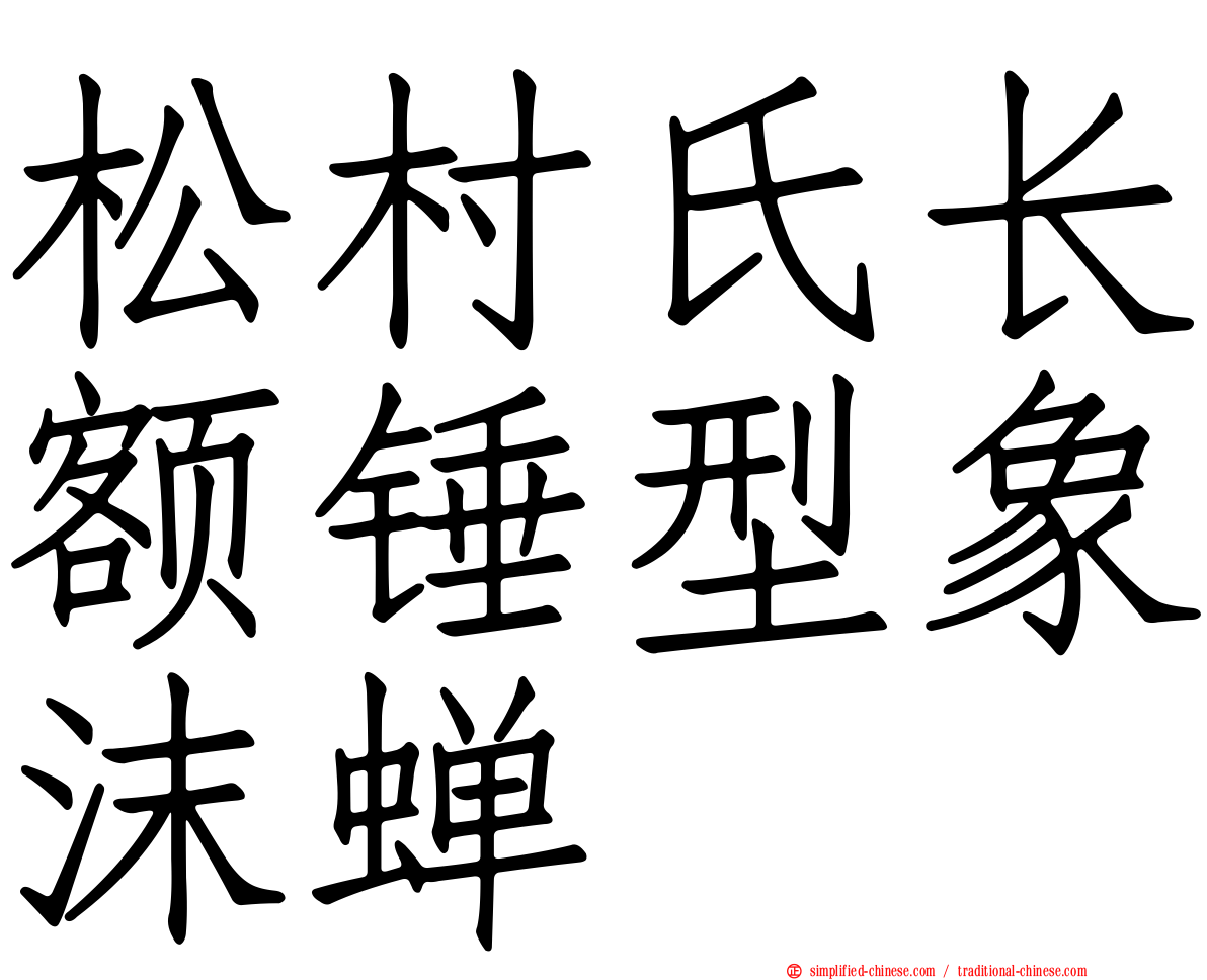 松村氏长额锤型象沫蝉