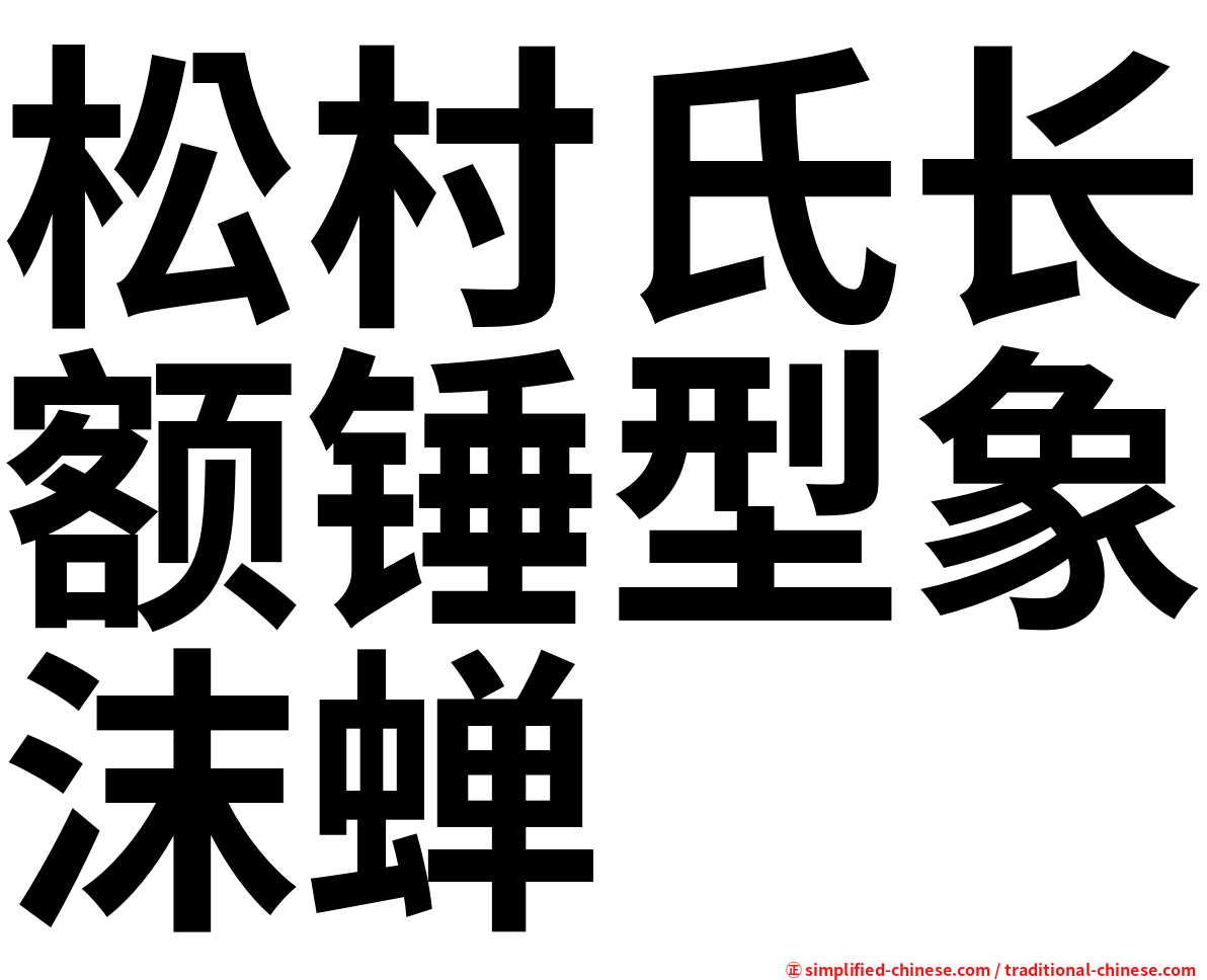 松村氏长额锤型象沫蝉