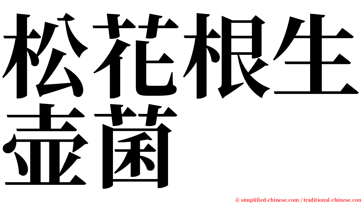 松花根生壶菌 serif font