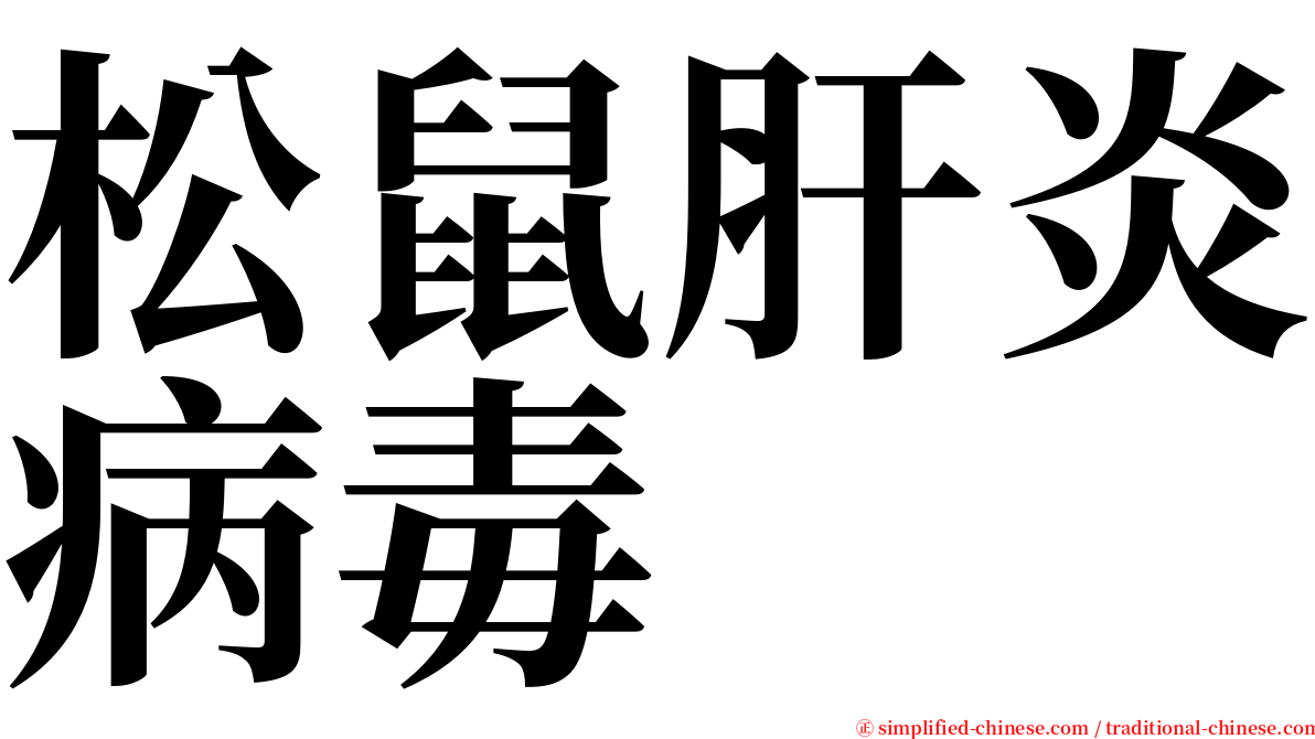 松鼠肝炎病毒 serif font