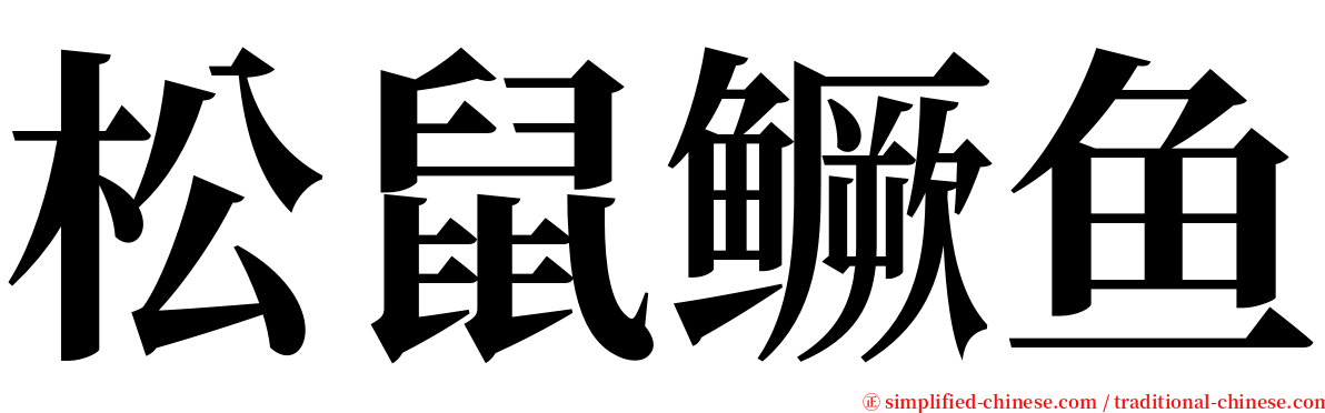 松鼠鳜鱼 serif font