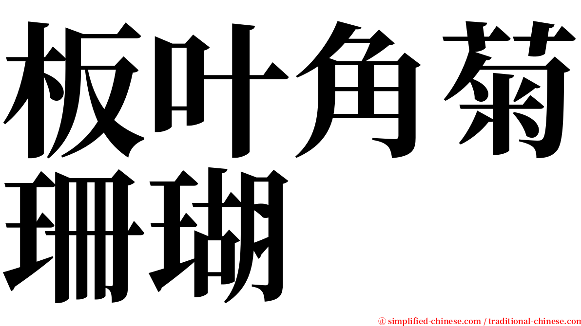 板叶角菊珊瑚 serif font