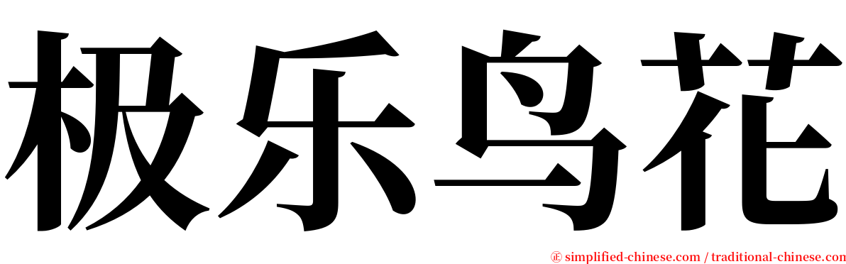 极乐鸟花 serif font